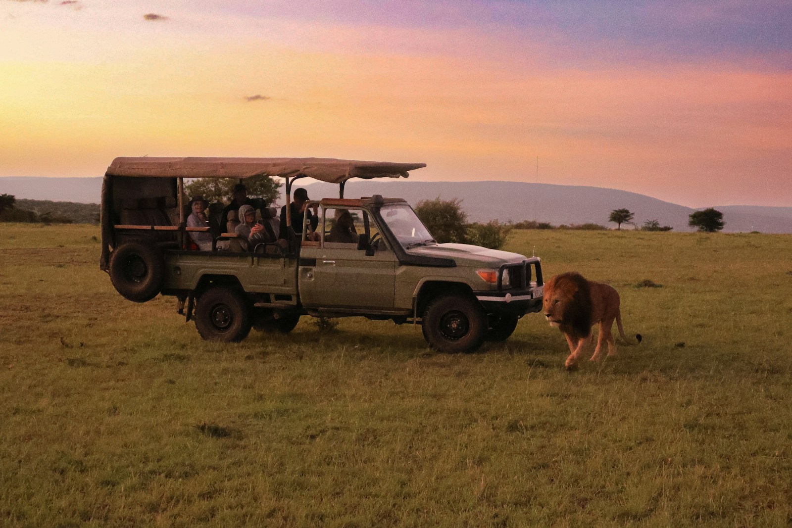 Kenya safari with a Zanzibar ocean wind-down